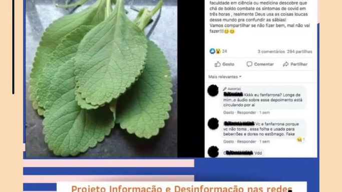 Enquete Fake News 02